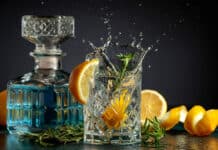 Gin & Sound 2025